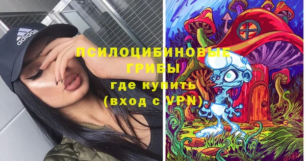 2c-b Елизово