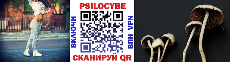 купить  цена  Зеленодольск  Псилоцибиновые грибы прущие грибы 