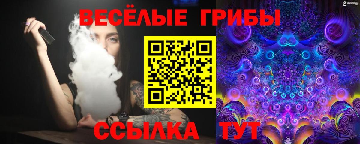Псилоцибиновые грибы GOLDEN TEACHER Зеленодольск